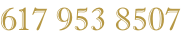 617 953 8507